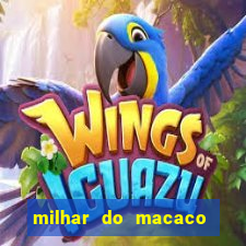 milhar do macaco que mais saem no jogo do bicho