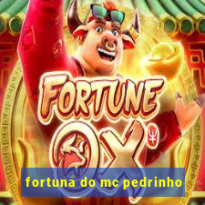 fortuna do mc pedrinho