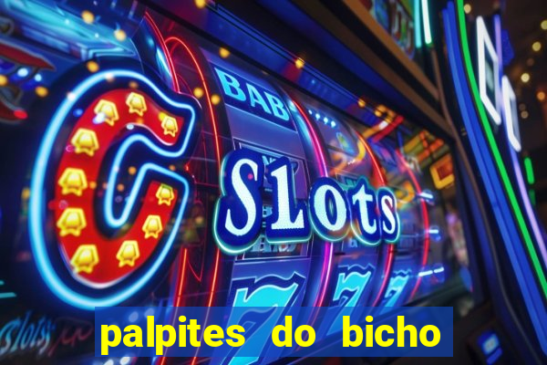 palpites do bicho no celular