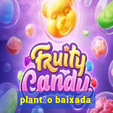 plant茫o baixada