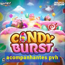 acompanhantes pvh