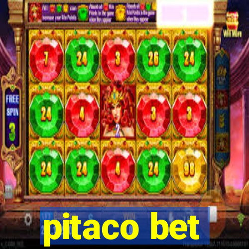 pitaco bet