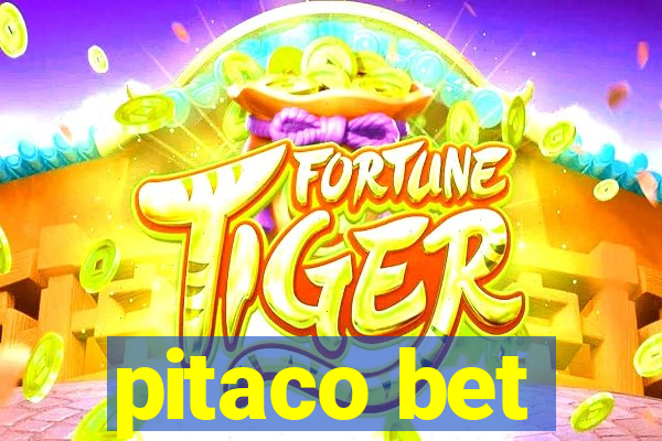 pitaco bet