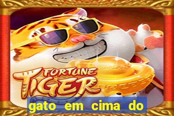 gato em cima do telhado significado espiritual