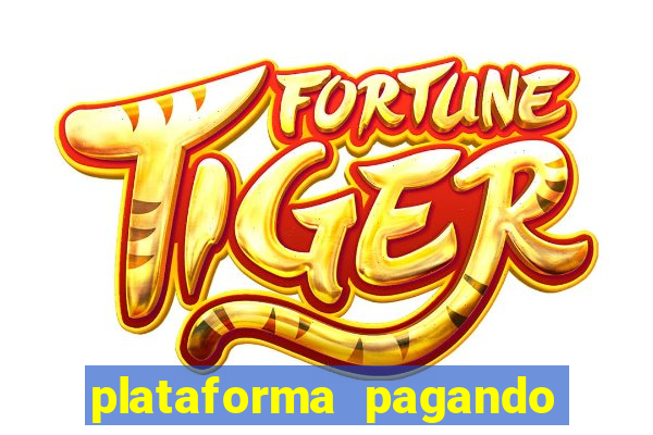 plataforma pagando no cadastro tigre