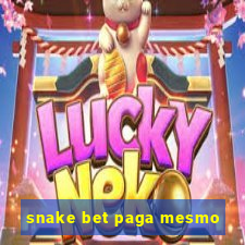 snake bet paga mesmo