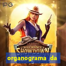 organograma da cacau show