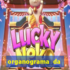 organograma da cacau show