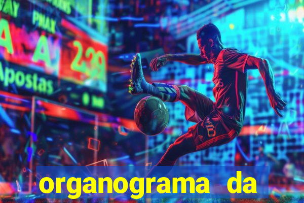 organograma da cacau show