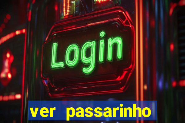 ver passarinho morto significado