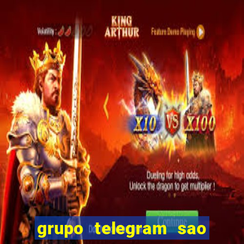 grupo telegram sao jose do rio preto