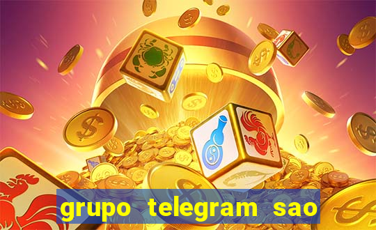 grupo telegram sao jose do rio preto