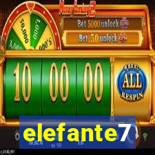 elefante7