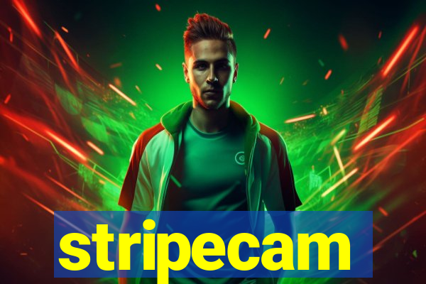 stripecam