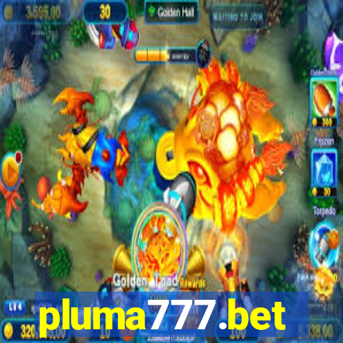 pluma777.bet