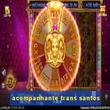 acompanhante trans santos