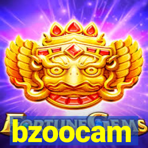 bzoocam