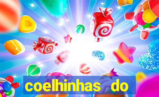 coelhinhas do brasil acompanhantes