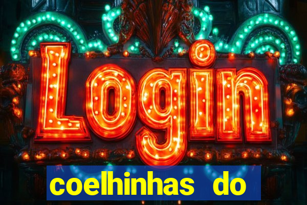 coelhinhas do brasil acompanhantes