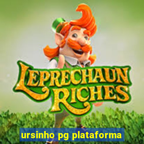 ursinho pg plataforma