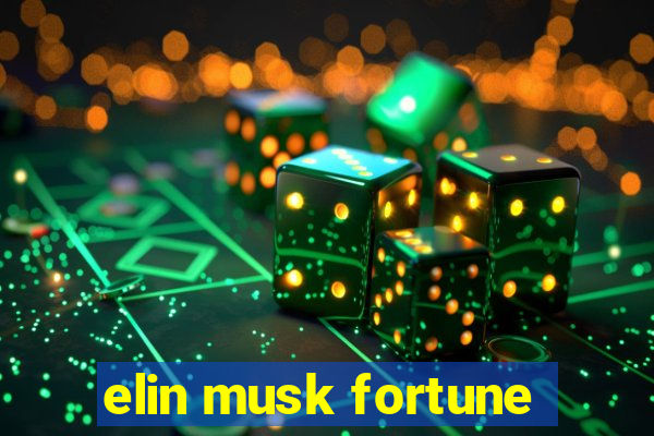 elin musk fortune