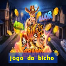 jogo do bicho online curitiba