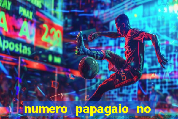 numero papagaio no jogo do bicho