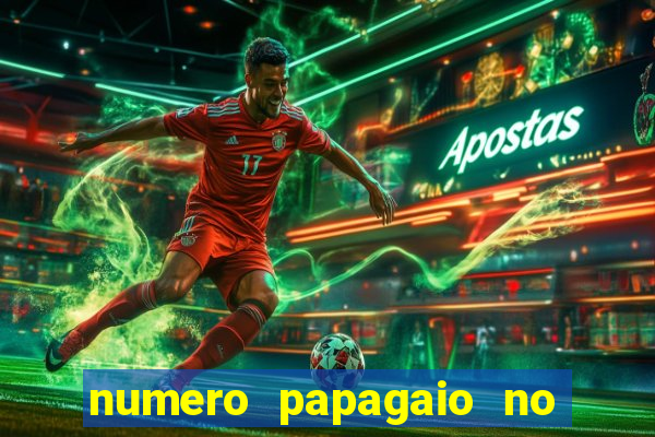 numero papagaio no jogo do bicho