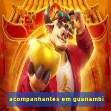 acompanhantes em guanambi