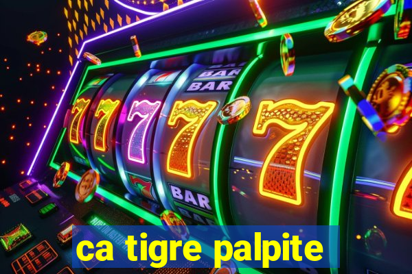 ca tigre palpite