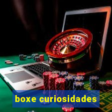 boxe curiosidades