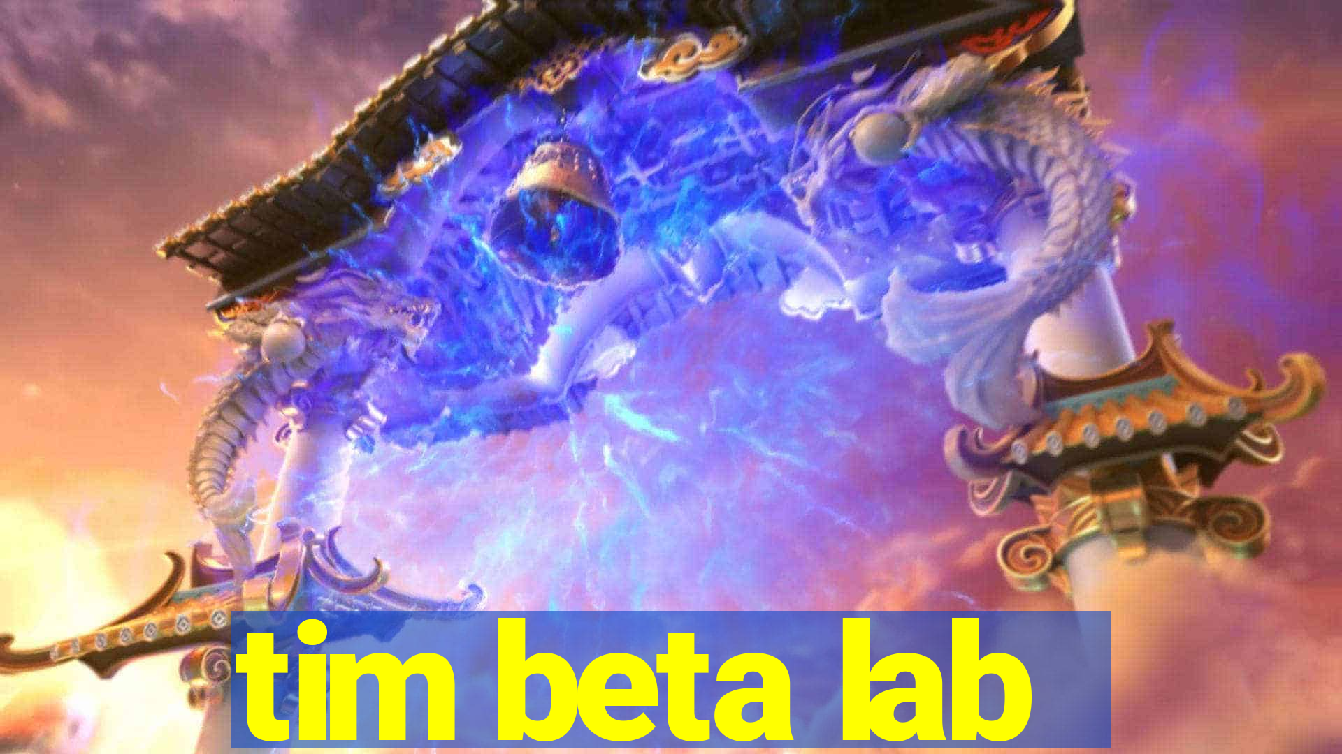 tim beta lab