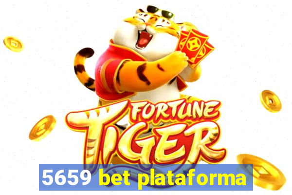 5659 bet plataforma