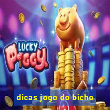 dicas jogo do bicho