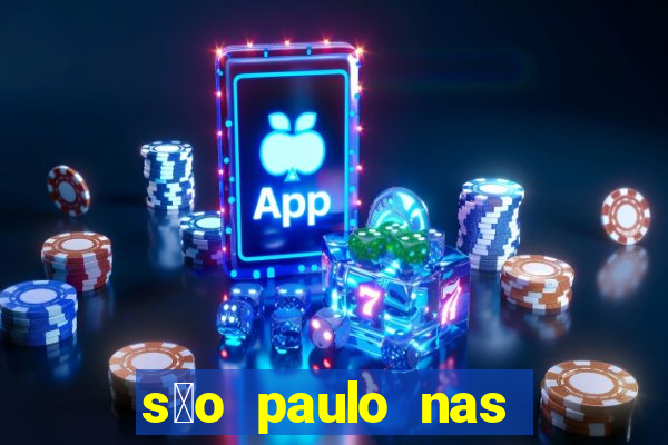 s茫o paulo nas alturas pdf