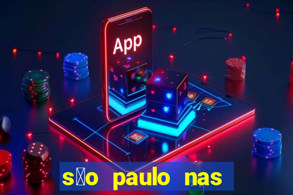 s茫o paulo nas alturas pdf