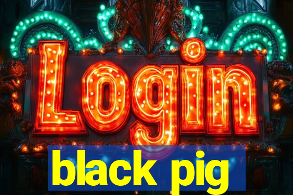 black pig