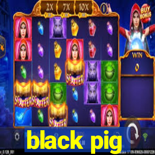 black pig