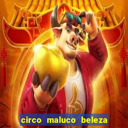 circo maluco beleza recife circo maluco