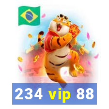 234 vip 88