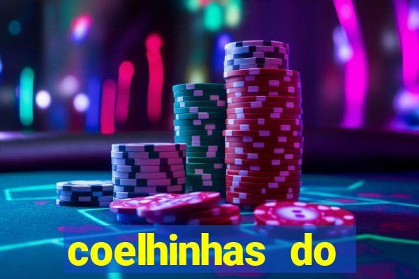 coelhinhas do brasil recife