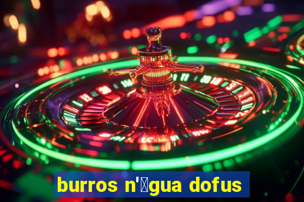 burros n'谩gua dofus