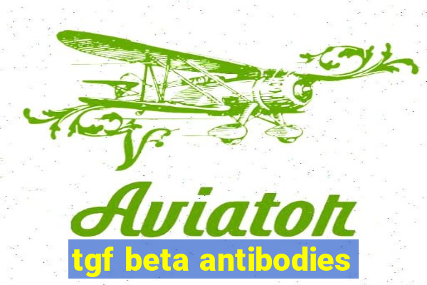 tgf beta antibodies