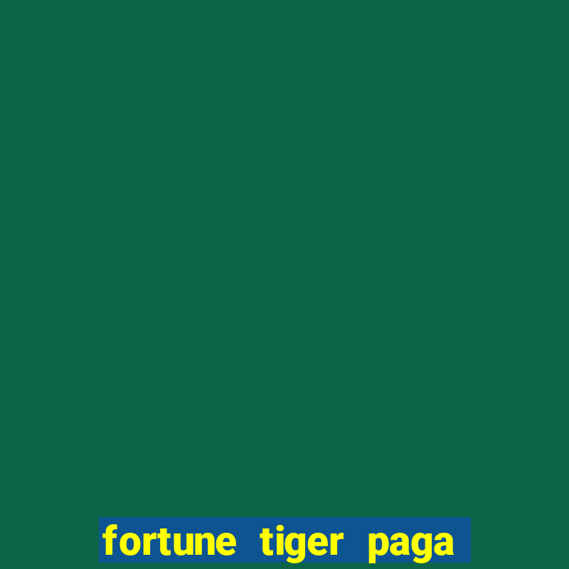 fortune tiger paga de madrugada