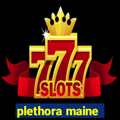 plethora maine