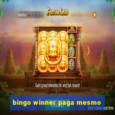 bingo winner paga mesmo