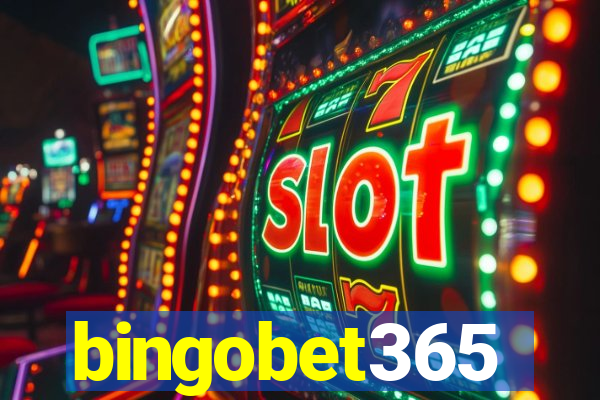 bingobet365