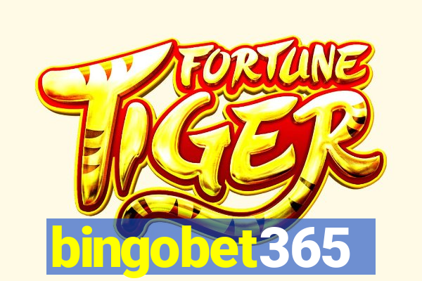 bingobet365