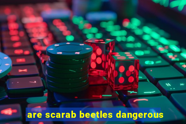 are scarab beetles dangerous