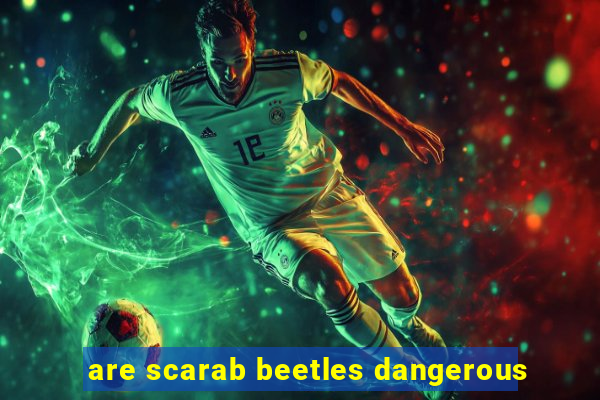 are scarab beetles dangerous